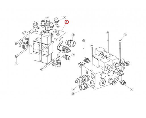 206117900 MST Telehander tavşan kaplumbağa valfi komple / Shift block valve
