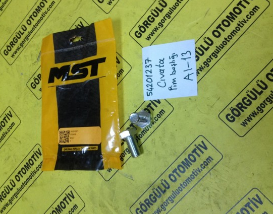 54201237 Cıvata, pim başlığı / Bolt