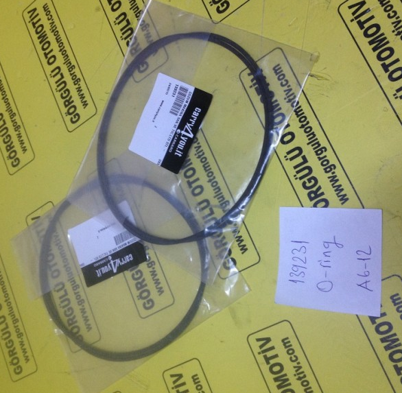 139231 O ring / O-ring