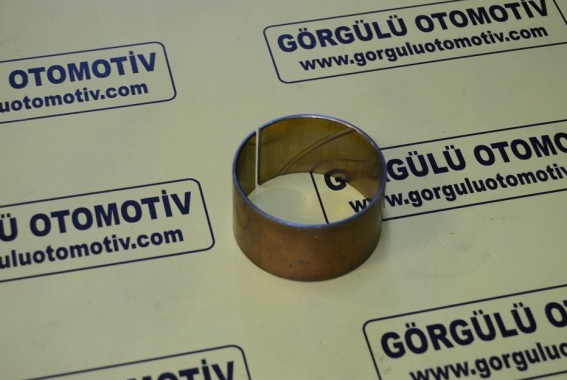 141887 Aks burcu / Bush