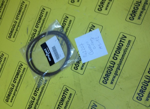 142207 Carraro O-ring / O-ring