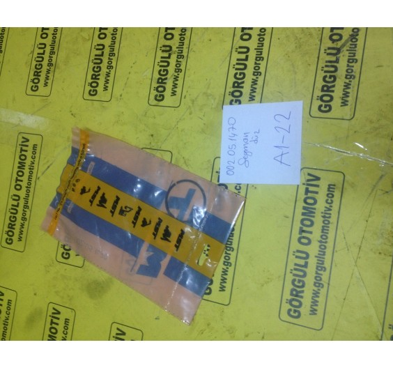 002.051470 MST Telehander Segman / Circlip