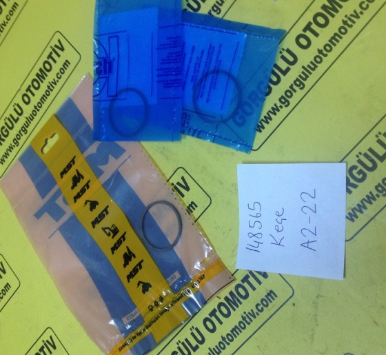 148565 Keçe Carraro şanzuman / Seal