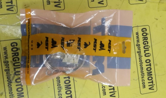 1747690252 TERMOSTAT