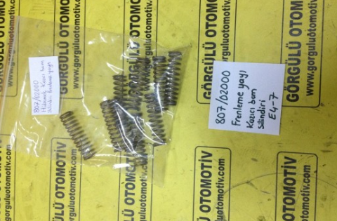 807/02000 Frenleme yayı, kazıcı bom silindiri / Spring