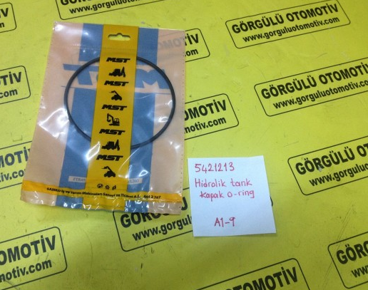 5421213 Depo kapak O-ring / O-ring