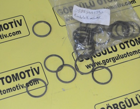 5442310 Rondela ( Pul ) frenleme / Washer