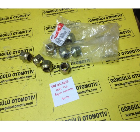 006.08.2865 MST Telehander bijon somunu / Nut