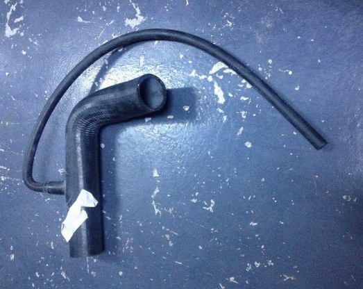 2903409 Radyatör üst hortum / Hose