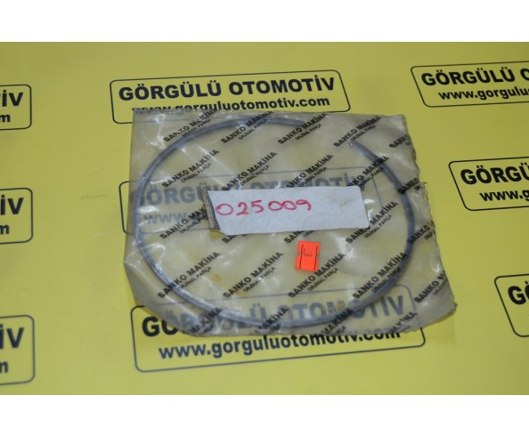 025009 Segman / Lockring