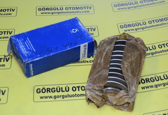 81558A STD ana yatak / Main bearing