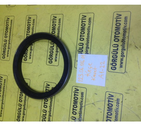 123.0601601 MST Telehander Kaset keçe / Seal