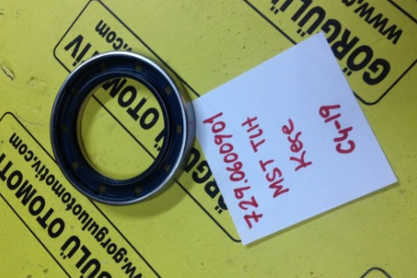 729.06.009.01 MST Telehander keçe / Seal