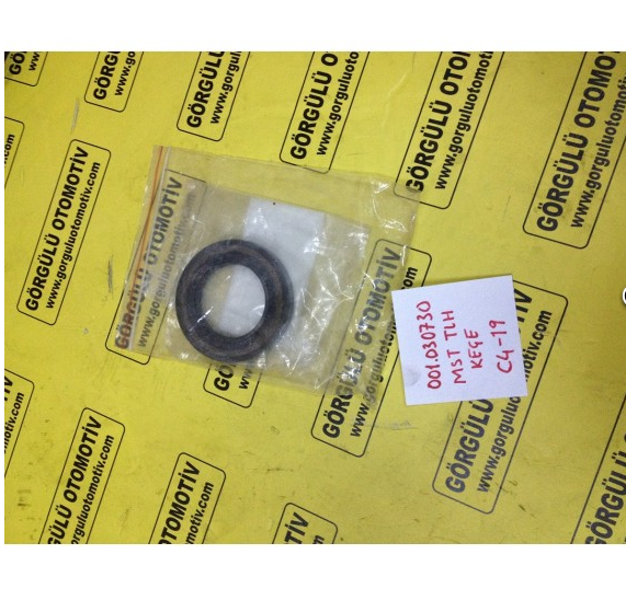 001.03.0730 MST Telehander keçe / Seal