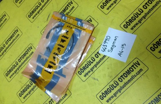 443990 Segman / Circlip