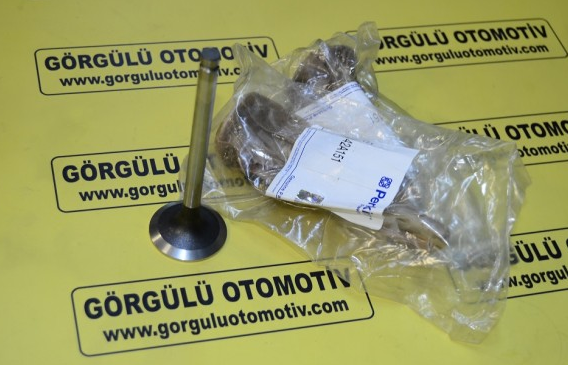 3142L051 Sübap / Inlet Valve