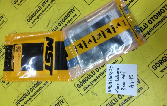 R908250805 Keçe takımı, beko valf / Repair kit